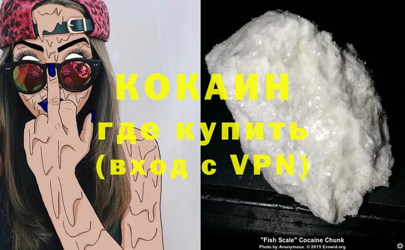 где купить   Шарыпово  Cocaine FishScale 