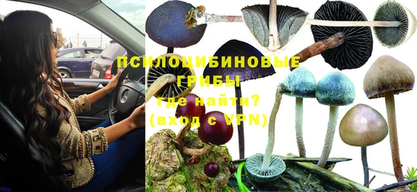 mdpv Весьегонск