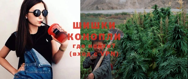 мет Новозыбков