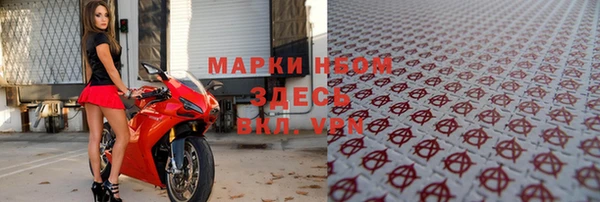 стаф Новокубанск
