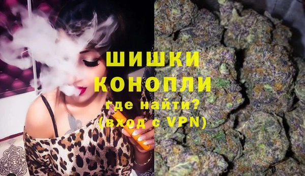стаф Новокубанск