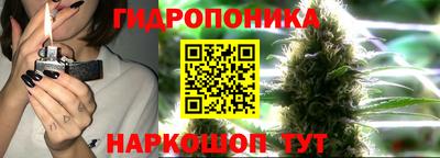 ECSTASY Абакан