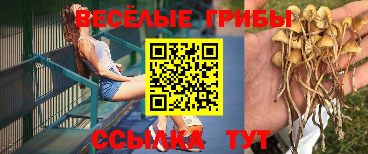 Галлюциногенные грибы GOLDEN TEACHER Шарыпово