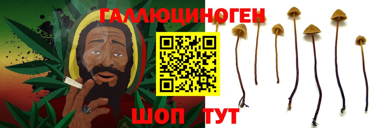Галлюциногенные грибы Magic Shrooms Шарыпово